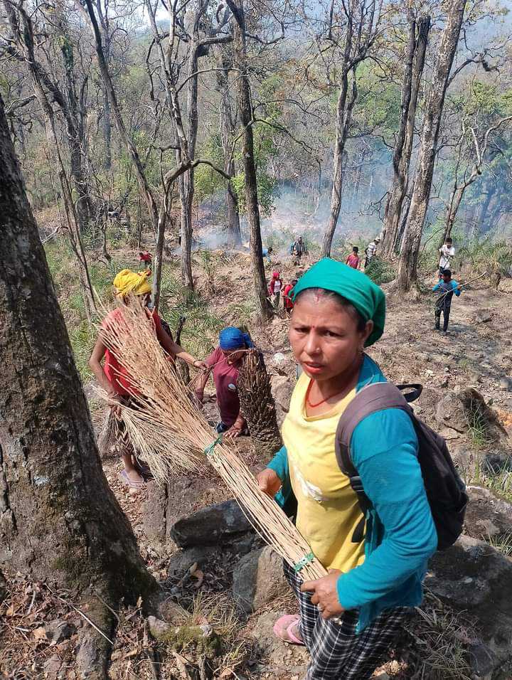 स्थानीय वन उपभोक्ताको प्रयास 